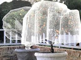 images (17)