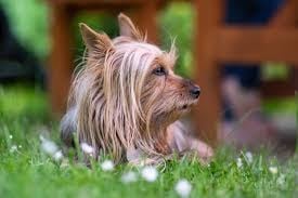 images - 2025-05-19T155438.573