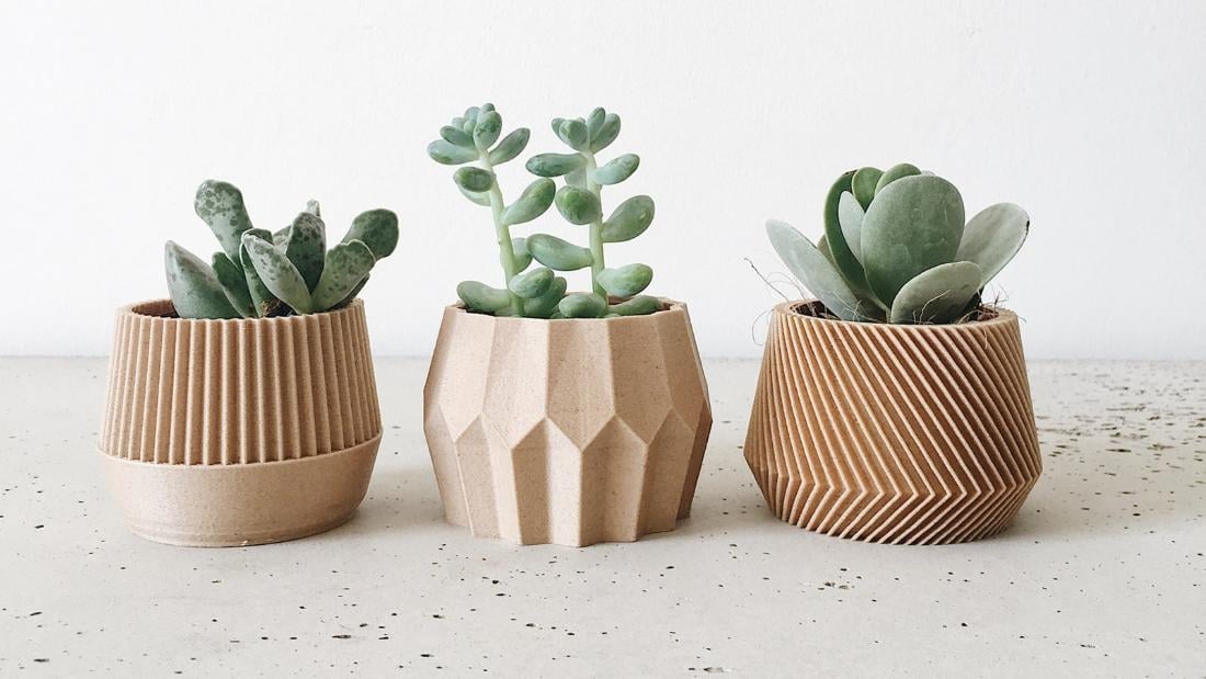 Plantas