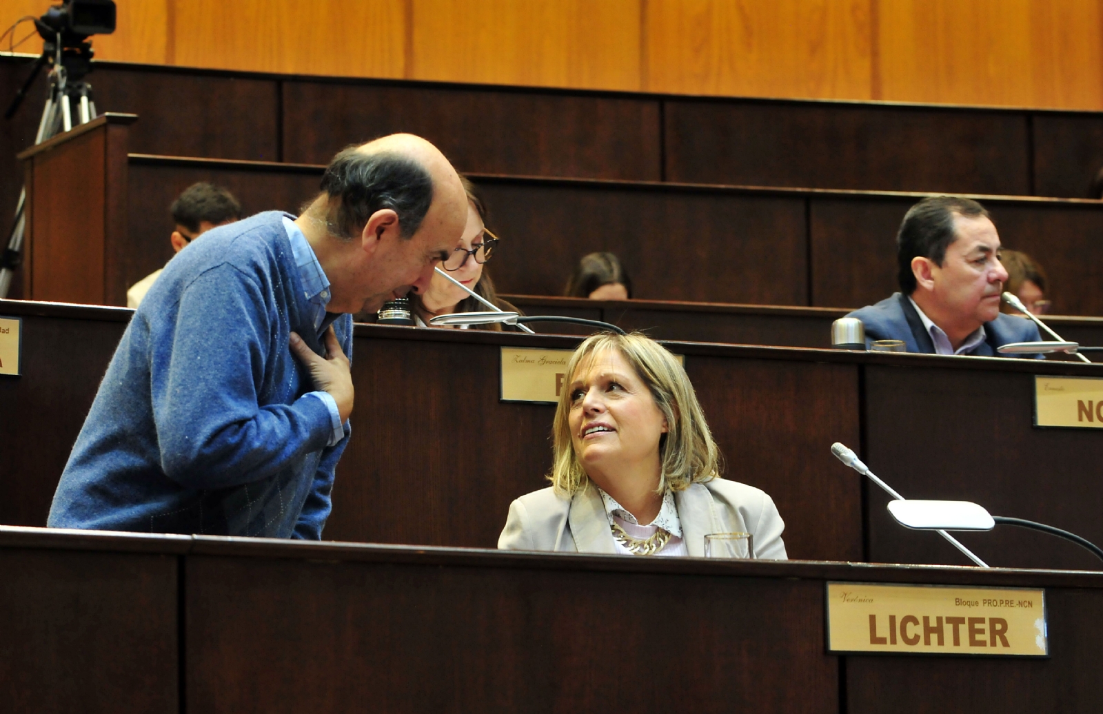 legislatura-proyecto-de-reiterancia