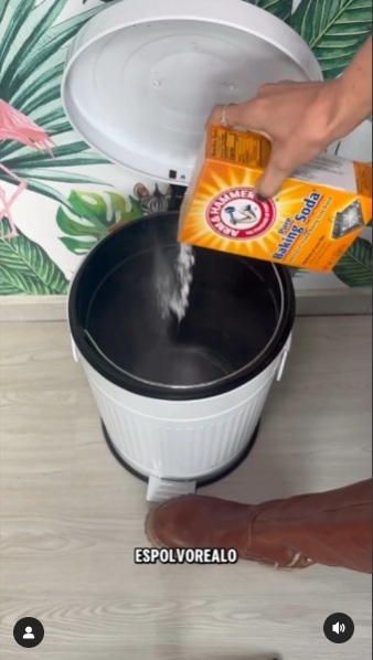 Tacho de basura 4