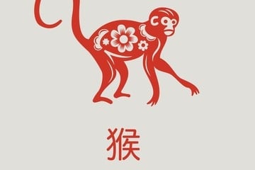 mFHZGztxH_360x240__1