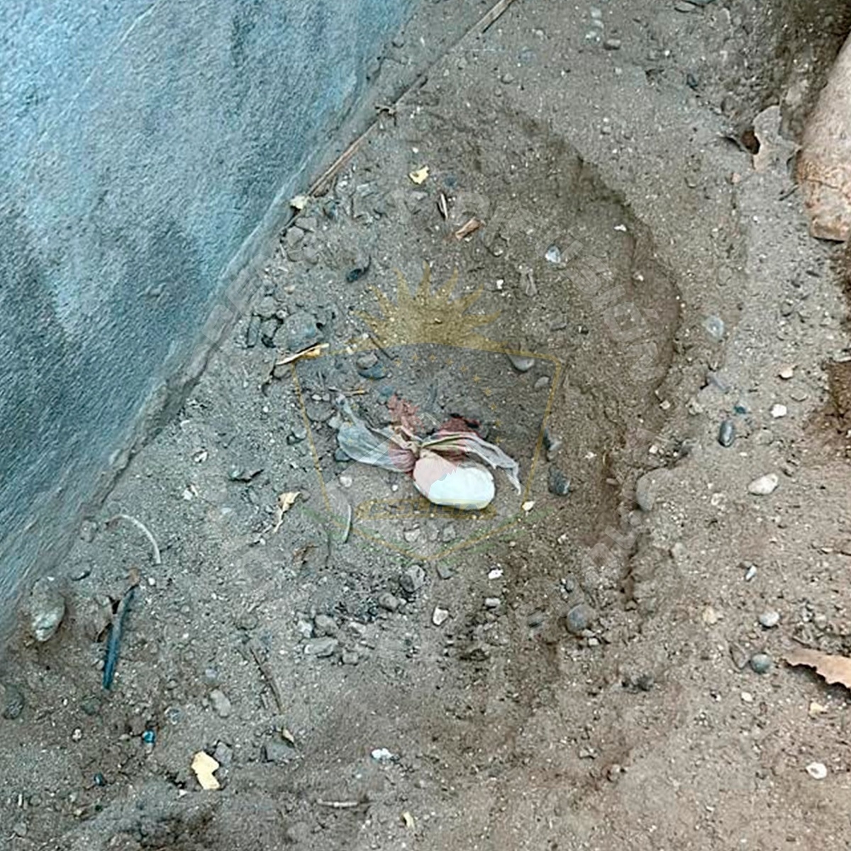 cocaina enterrada