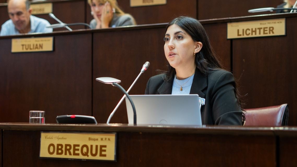 cigarrillos electrónicos legislatura de nqn