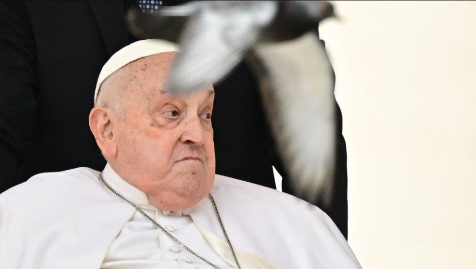 dia del papa perfil