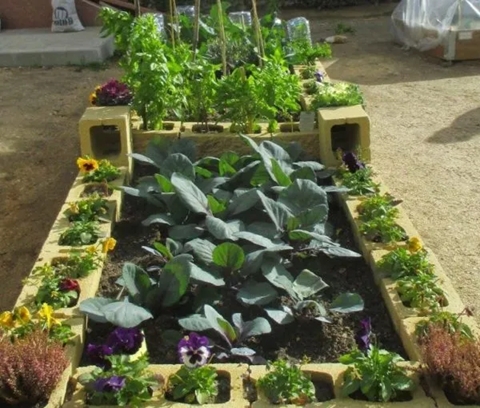huerta 2