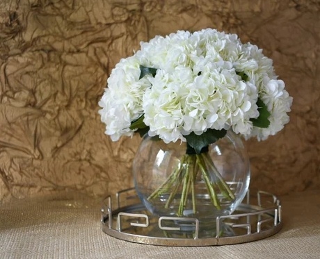 Hortensias 1