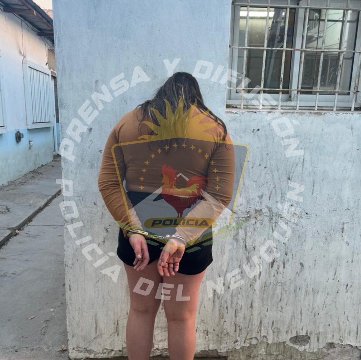 kiosco narco centenario detenida