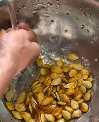 Semillas de zapallo222
