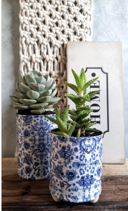 latas de duraznos 1
