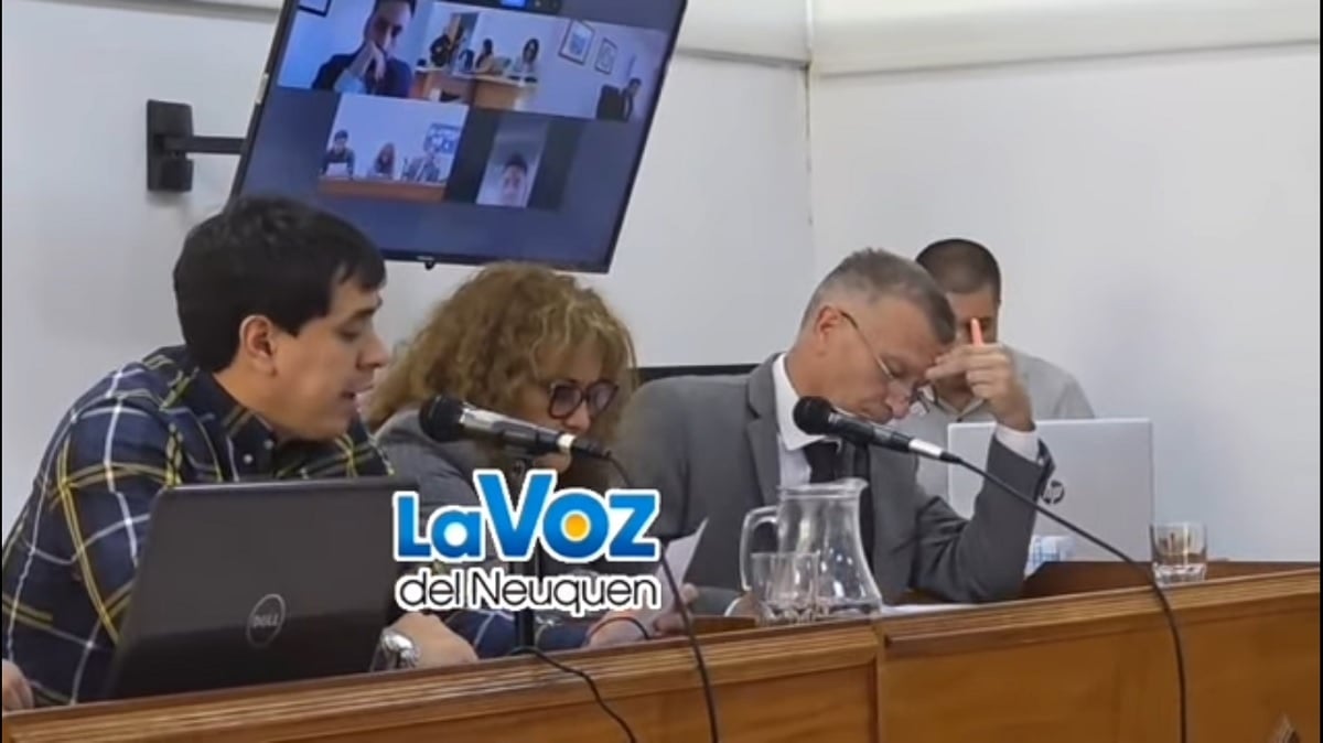 formulacion de cargos suyai contreras
