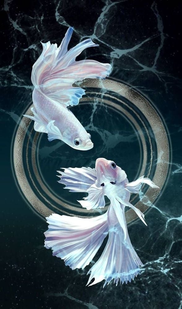 astrologia nota 2