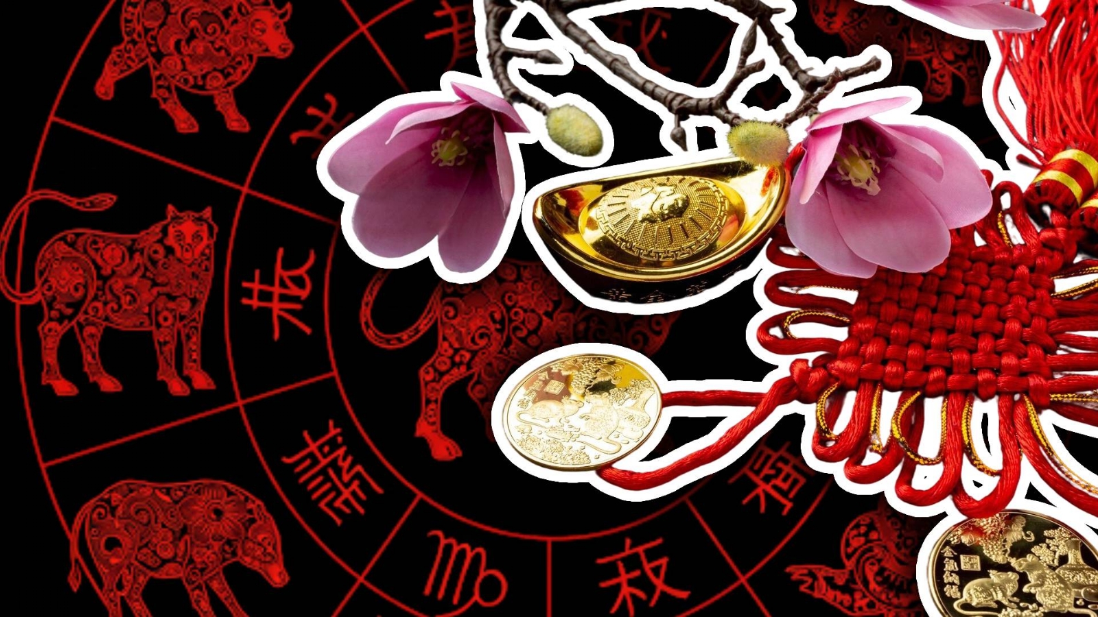 horoscopo-chino-predicciones-por-signo-para-hoy-viernes-25-de-abril-de-2025