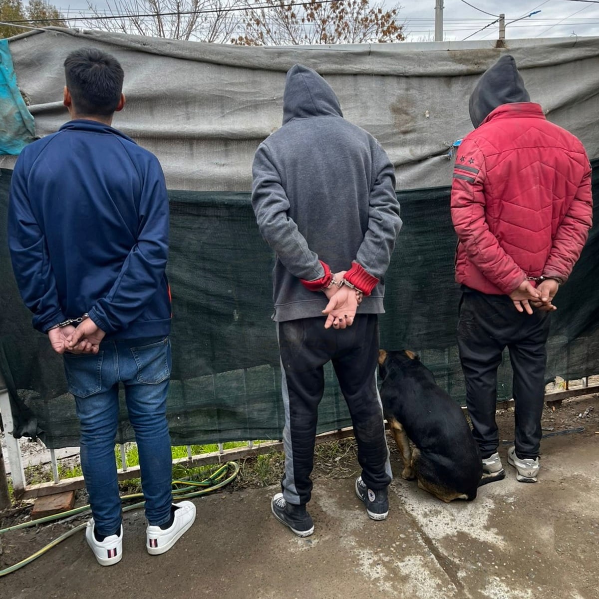 tres detenidos la sirena