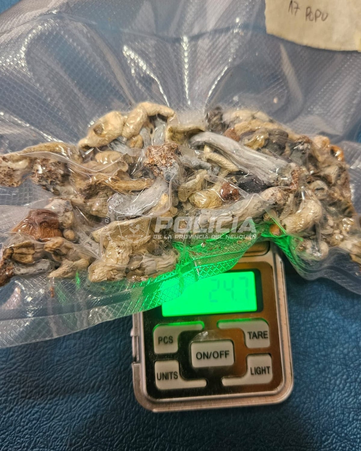 hongos alucinogenos villa la angostura