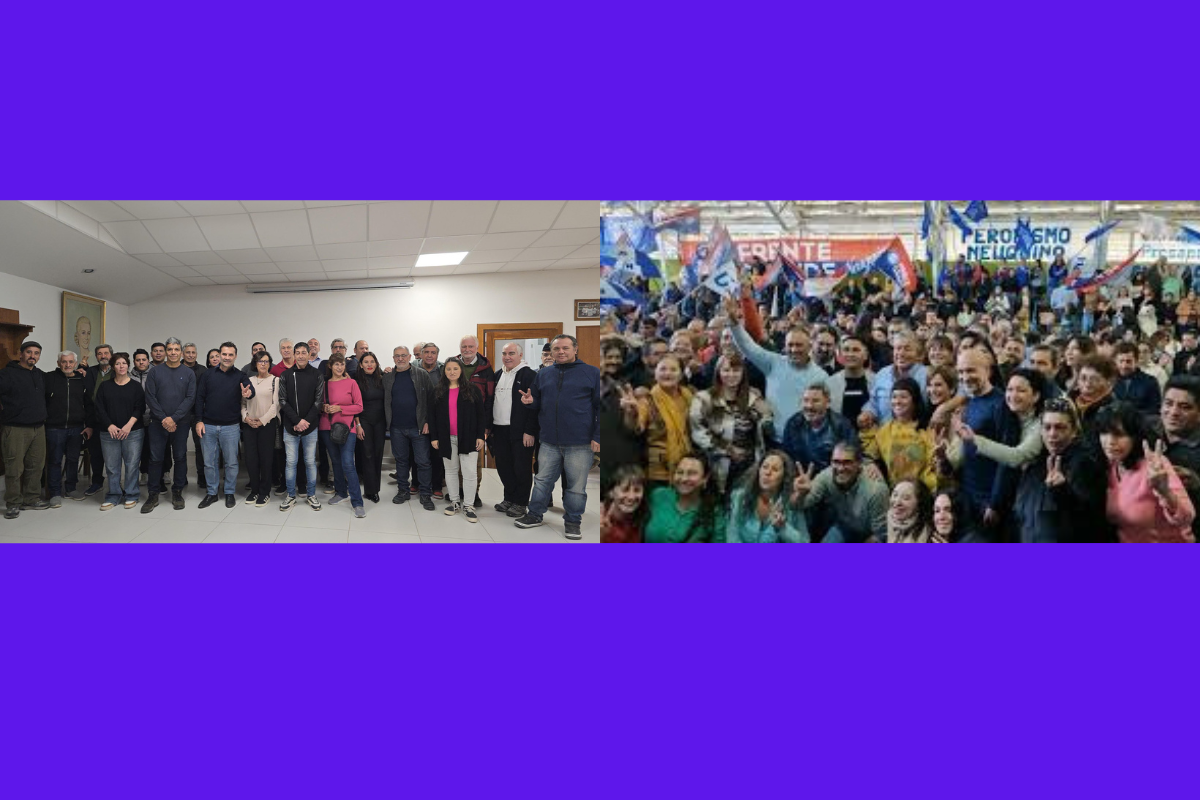 el voto peronista 1