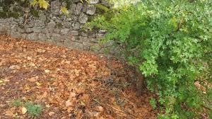 images (3)