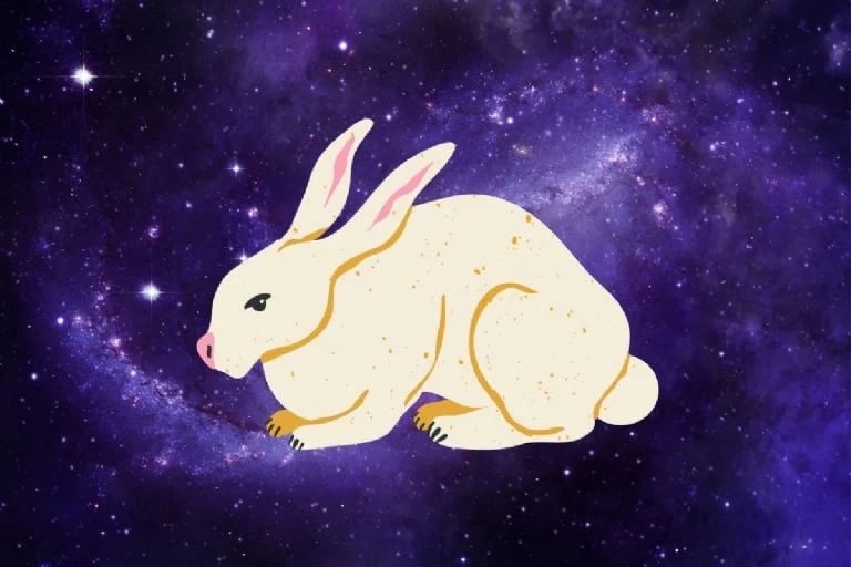 CONEJO 1