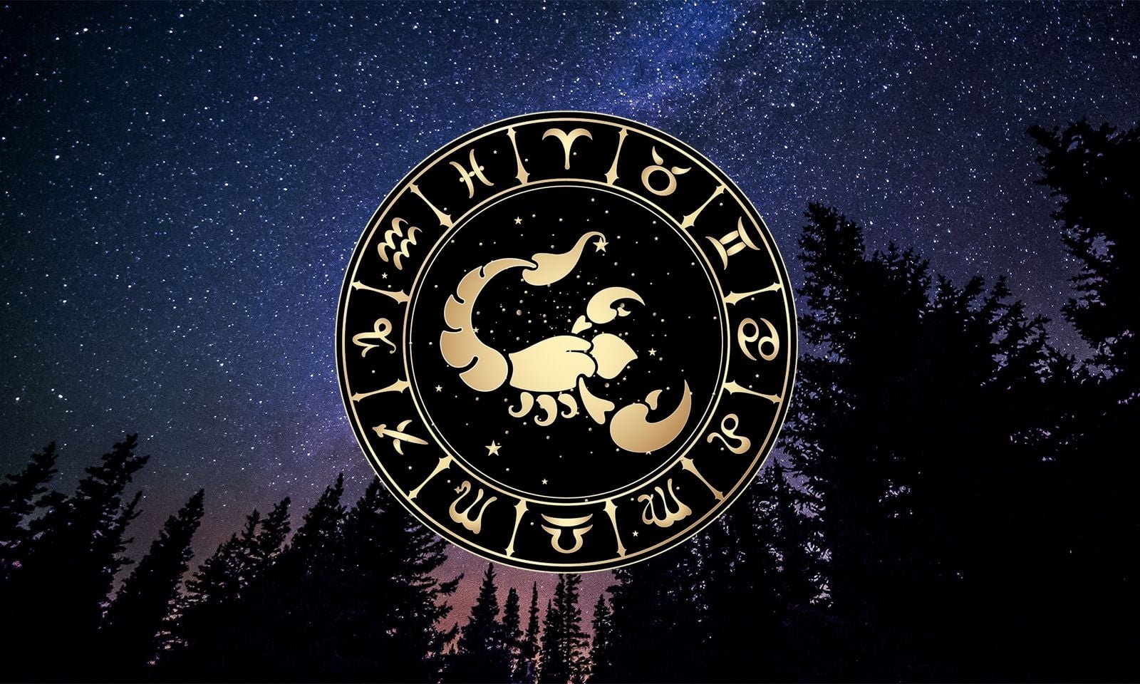 3 3