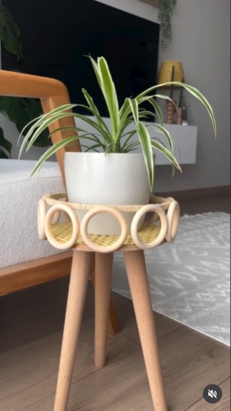 Palos de escoba 1
