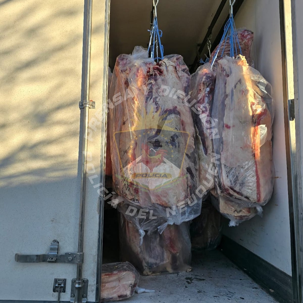 decomiso de carne pata mora 1