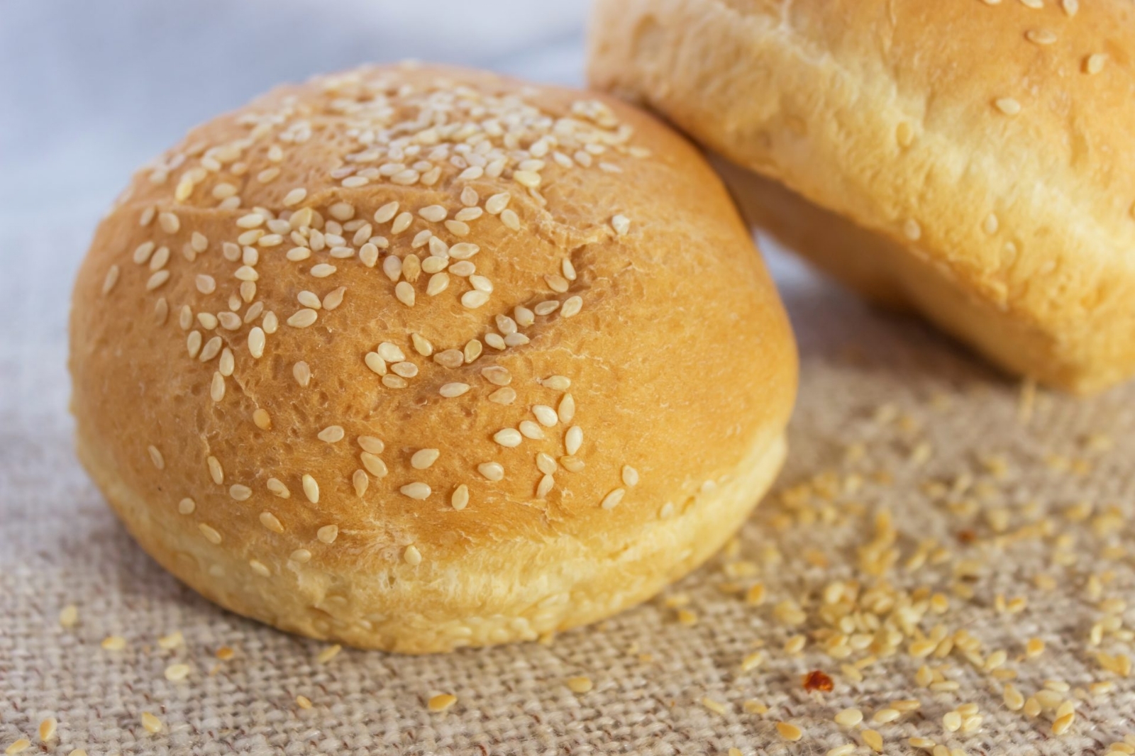 Pan de hamburguesas