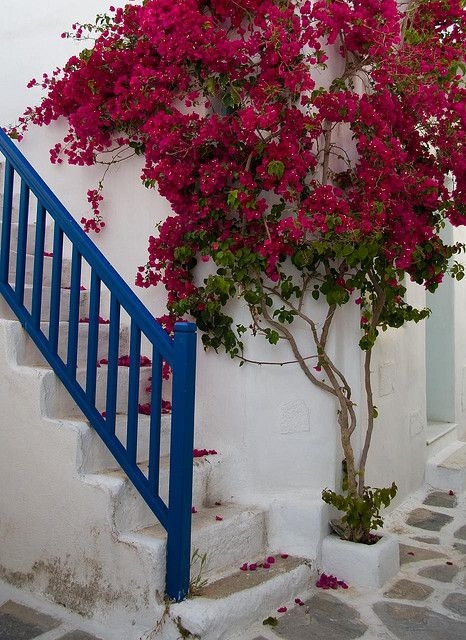 santa rita pinterest