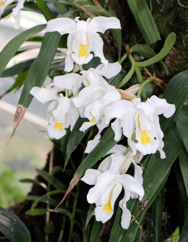 1 3