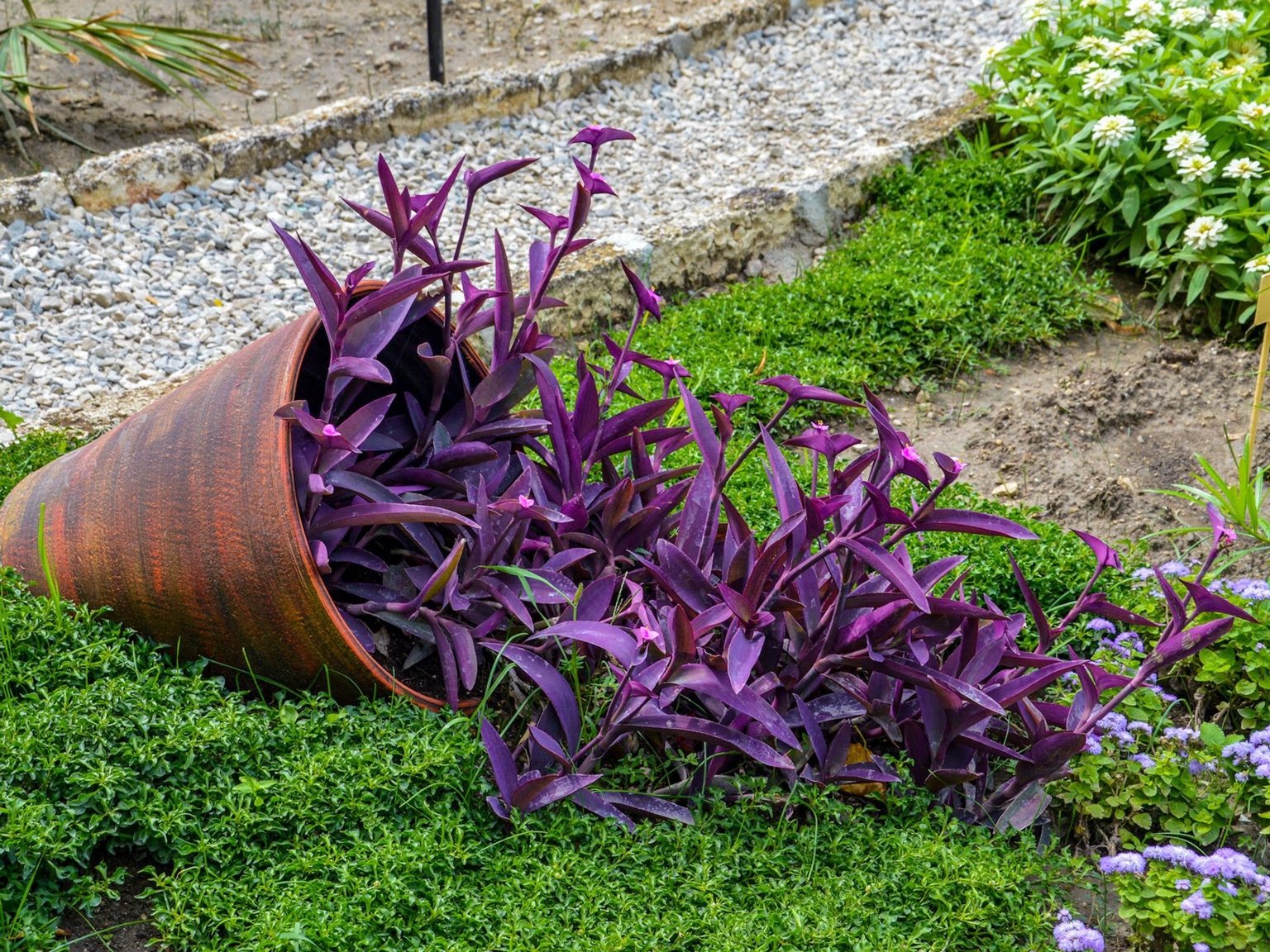 plantas reproduccion 1