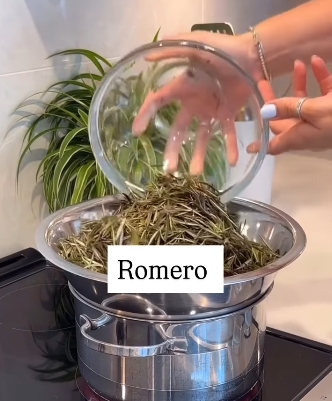 cabello2