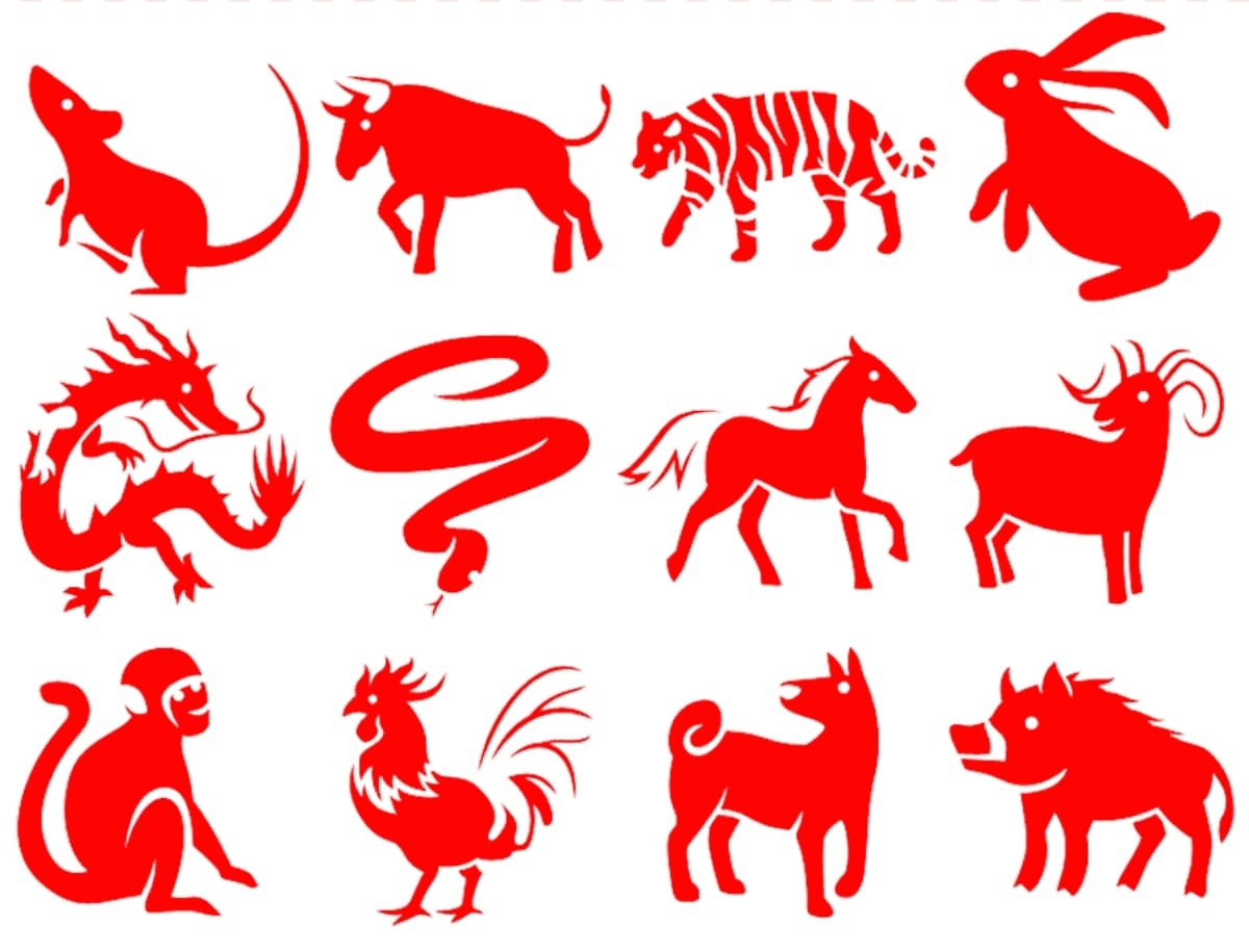 png-clipart-chinese-zodiac-chinese-new-year-animal-chinese-astrology-chinese-new-year-holidays-carnivoran