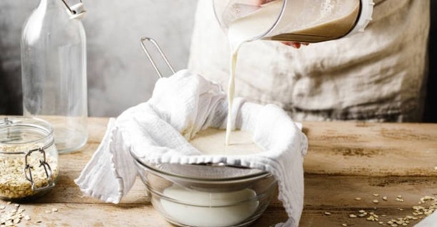 plantas avena 3