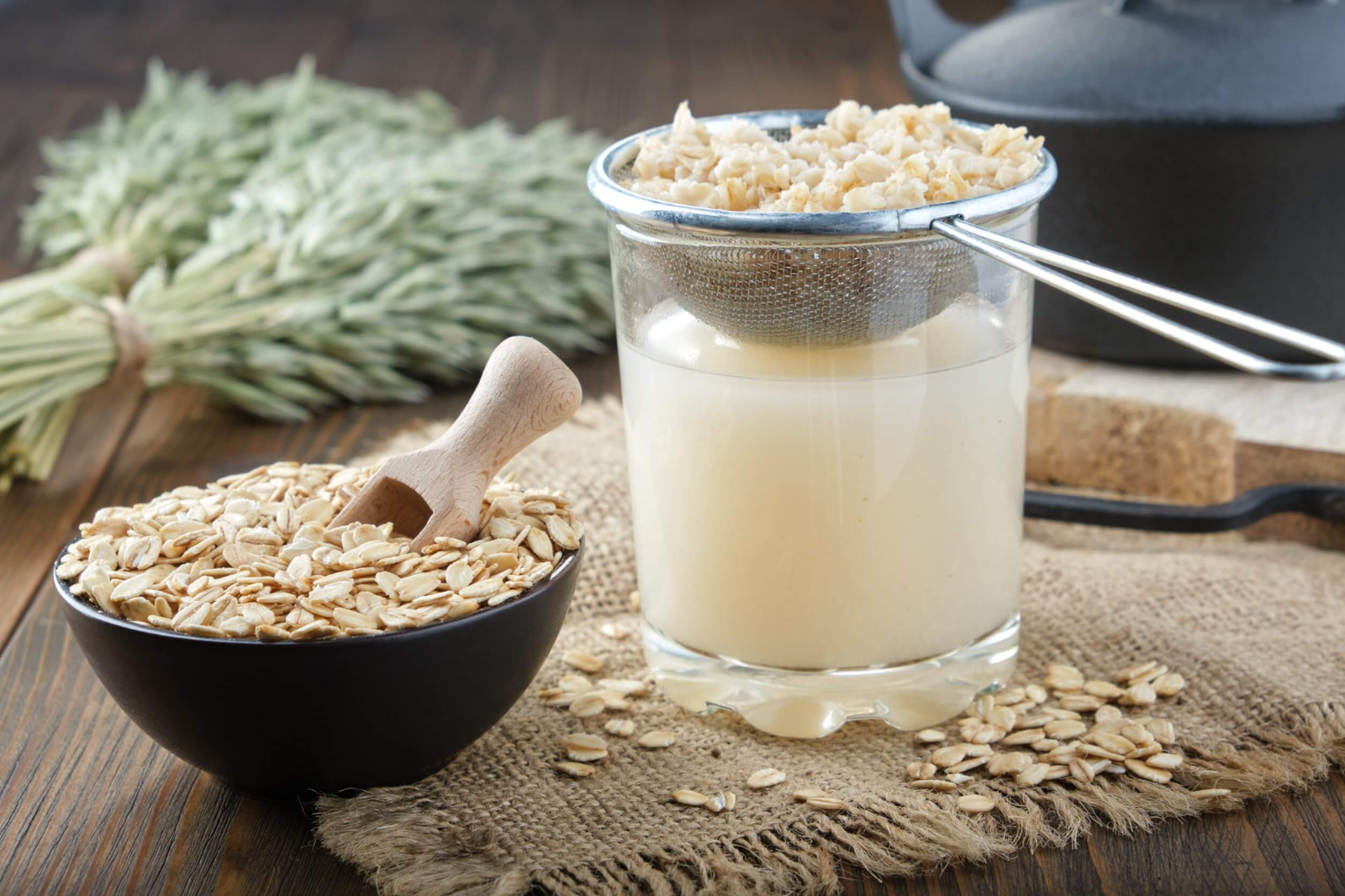 plantas avena