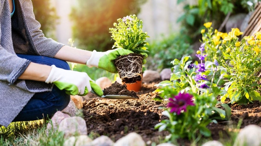 jardineria 1
