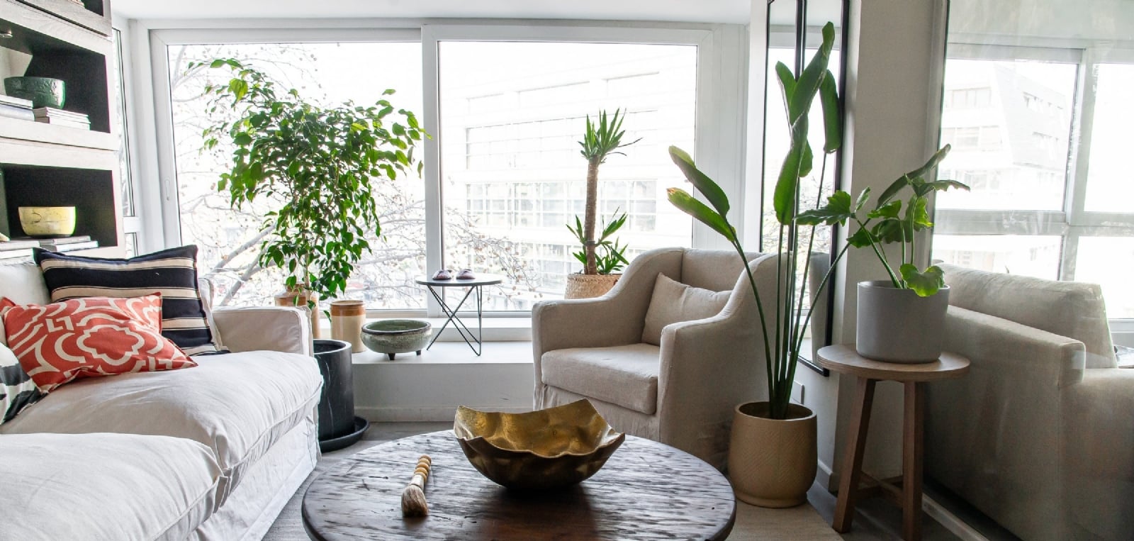 Planta