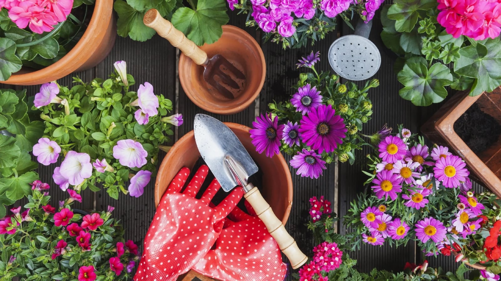 Herramientas-para-tus-plantas