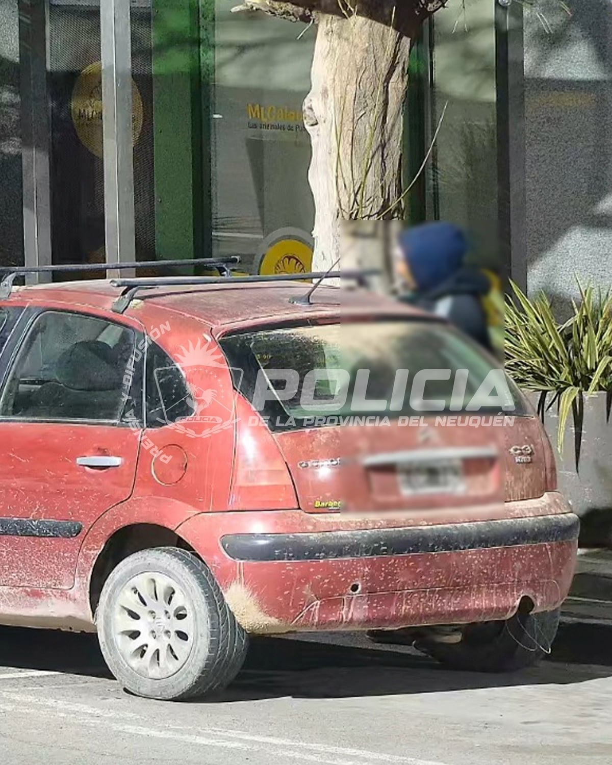 pareja detenida robo citroen 1