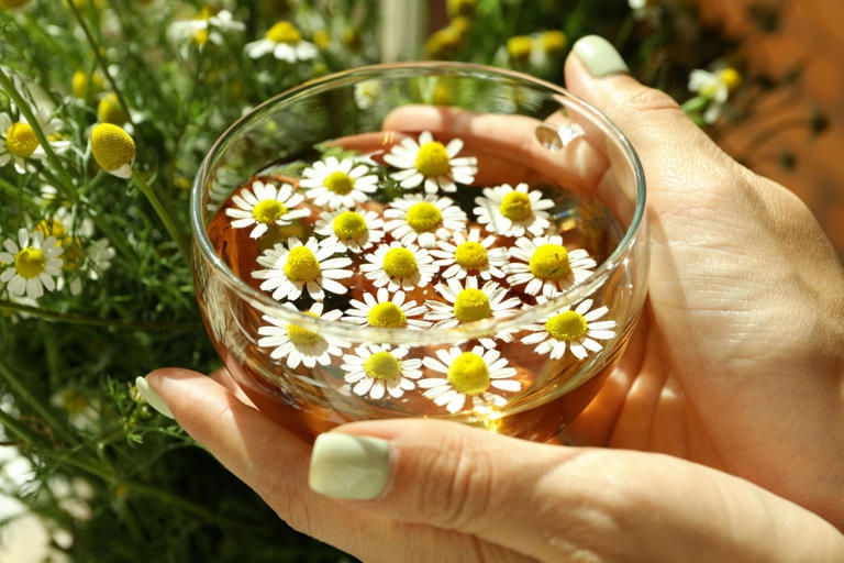Mascarilla antiinflamatoria111