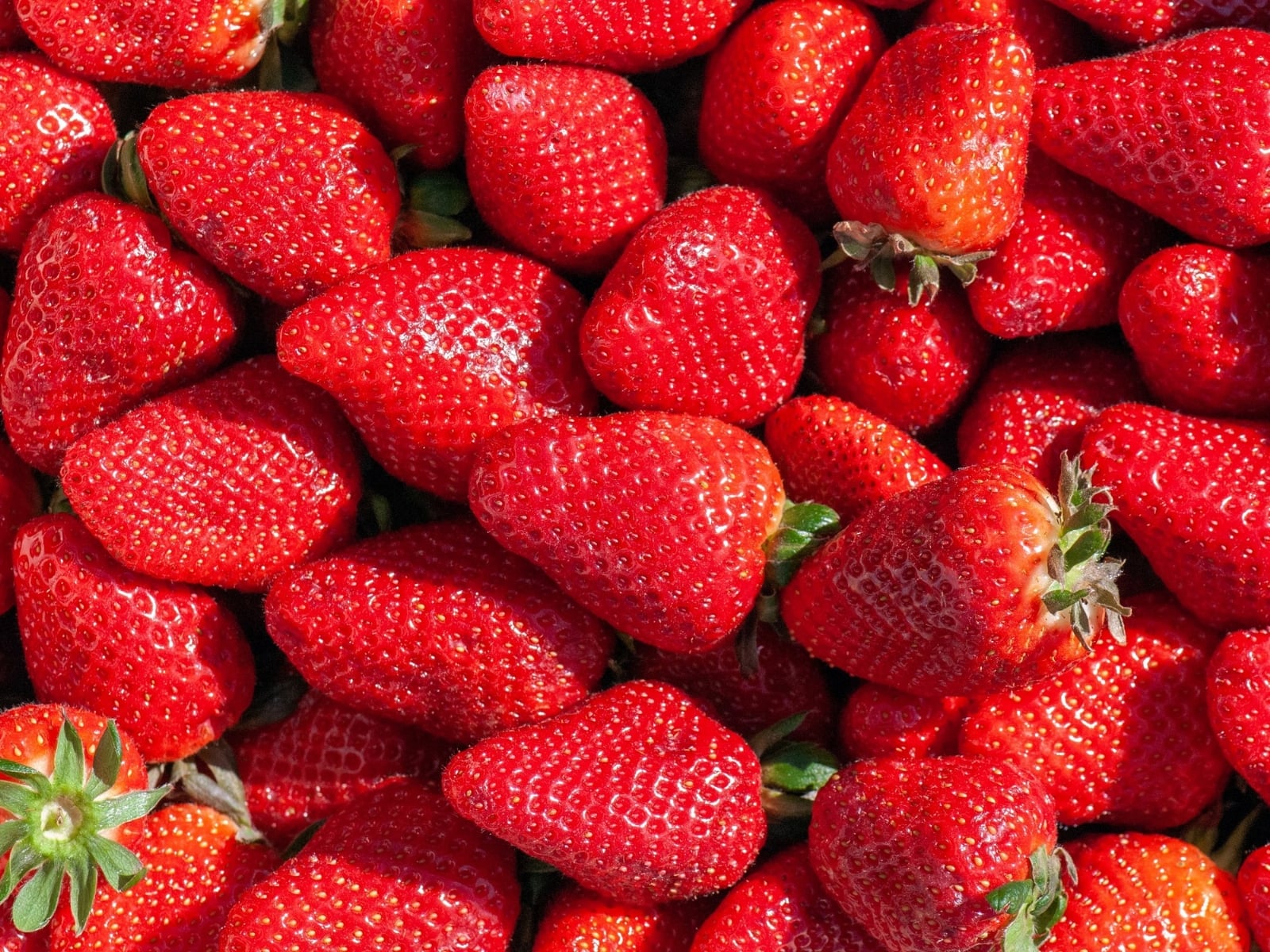 frutillas 2