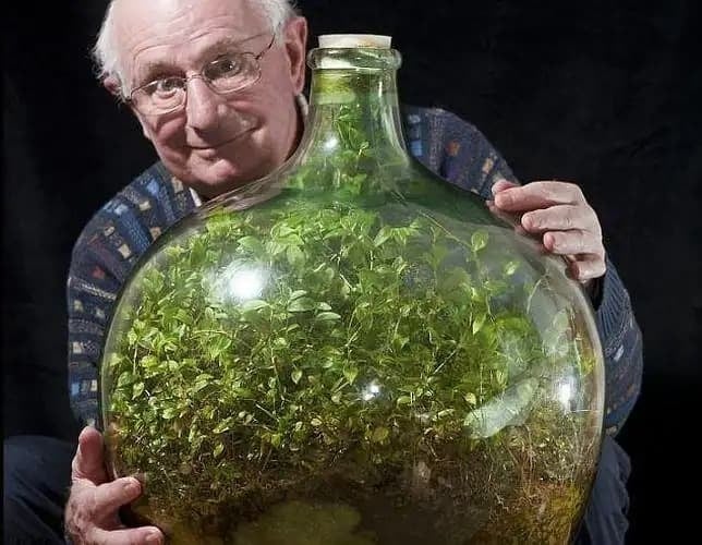 David-Latimer-jardin-en-una-botella