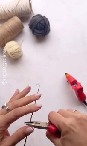 bvvv