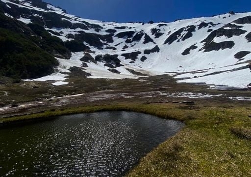 trekking-en-el-parque-nacional-los-alerces-senderos-turismo-naturaleza-1741532173720_512