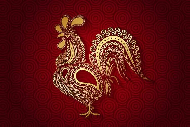 Gallo 5
