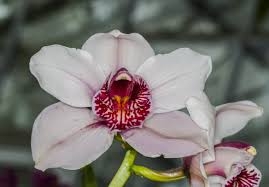 images (11)