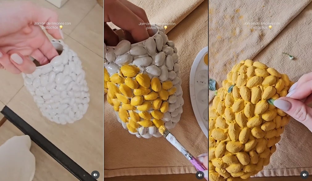 Cáscaras de pistacho 3