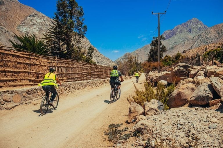 Tour-en-Bicicleta-Valle-de-Elqui-768x512