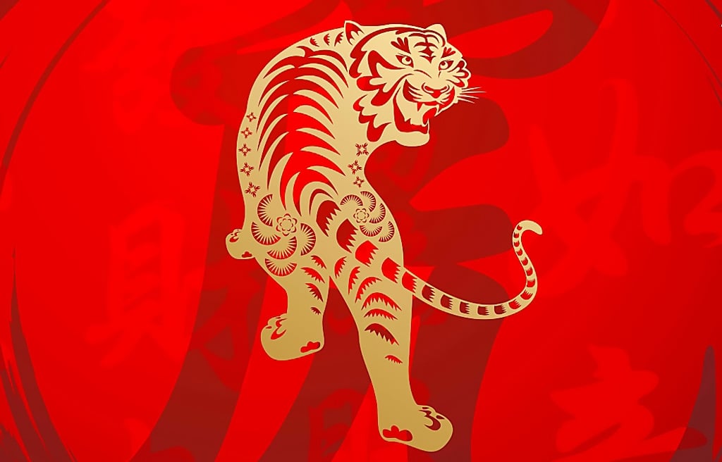 Tigre 4