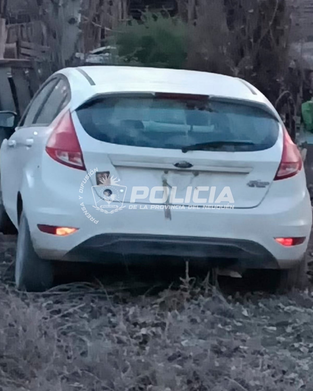 ford fiesta blanco robado