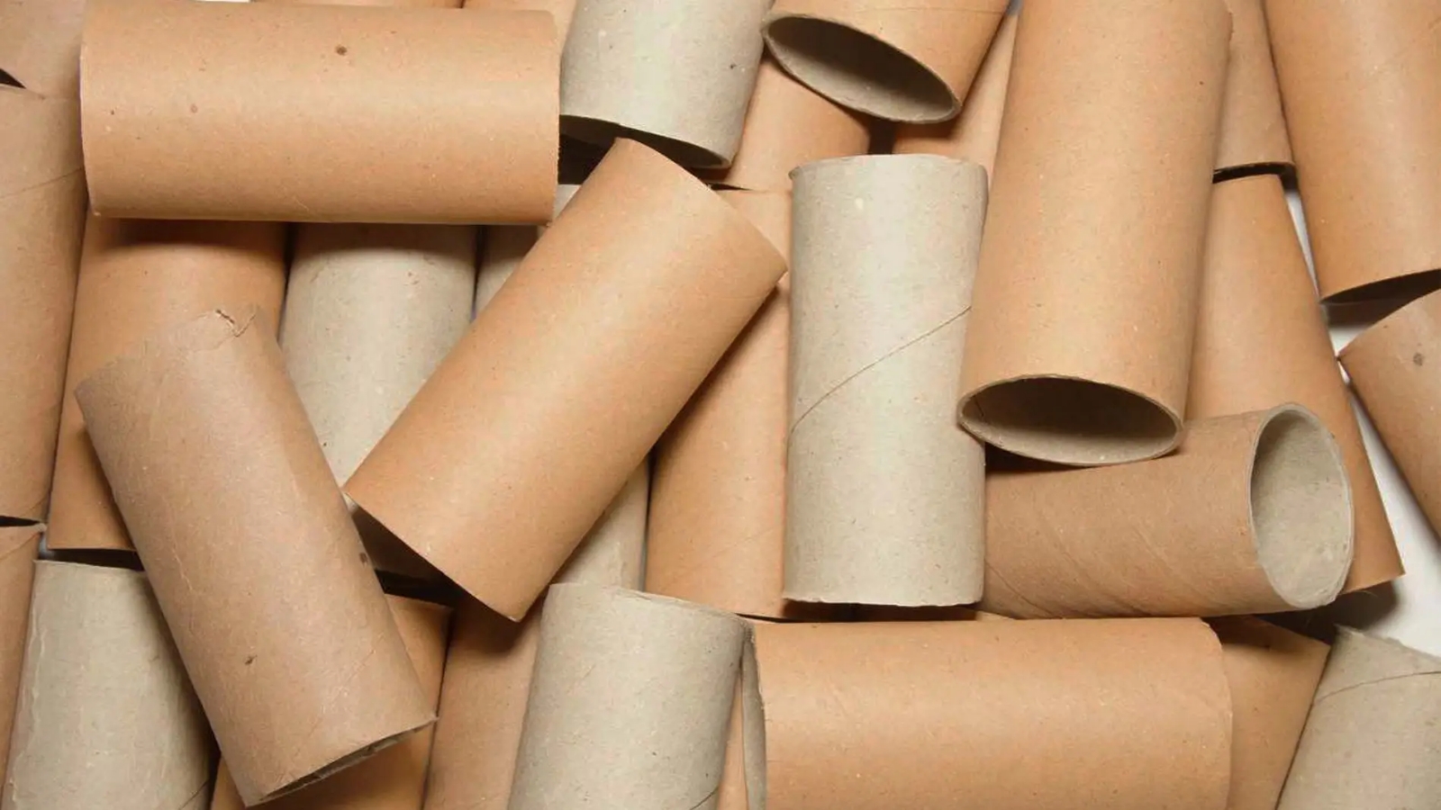 tienes-rollos-papel-higienico-tires-son-autentico-tesoro_98