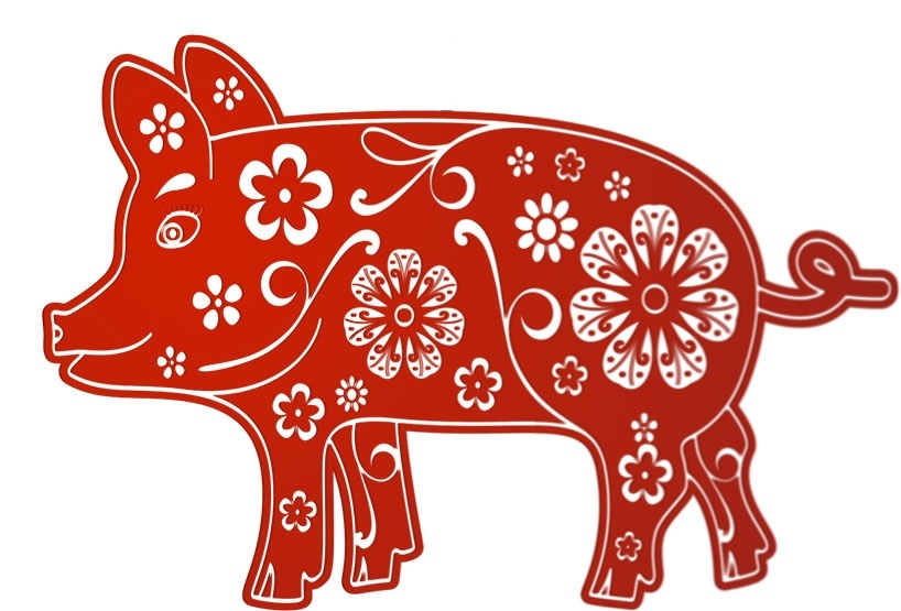 CERDO CHANCHO